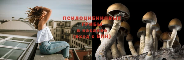 а пвп мука Балабаново