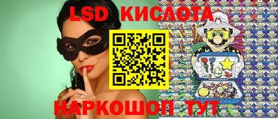 СК Ярославль