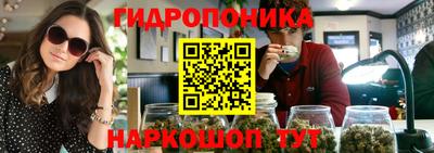 СК Ярославль