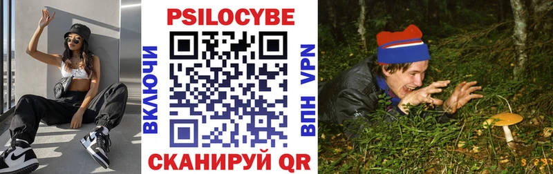 кракен онион  Новомосковск  Псилоцибиновые грибы MAGIC MUSHROOMS 