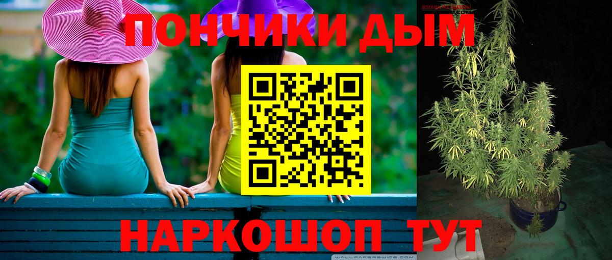 Бошки Шишки SATIVA & INDICA  Конопля индика  Шишки марихуана White Widow  Вход с VPN  Новомосковск  Бошки марихуана план 